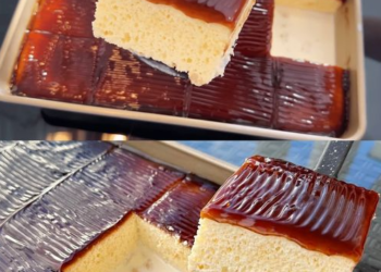 Nasser Milchkuchen mit Karamellsoße