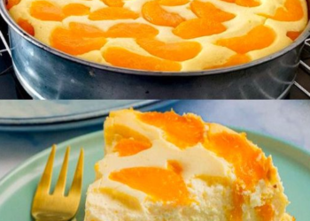 Quarkkuchen ohne Boden in 2 Minuten, Ratzfatz weggfuttert!