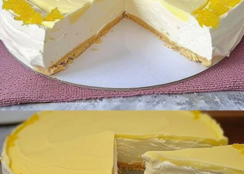 Zitronen Joghurt Torte ohne Schnickschnack mit 300 g Quark