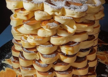 Belgische Vanille Joghurt Waffeln 250 g Joghurt in 2 Minuten