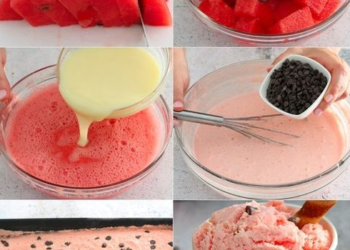 Wassermeloneneis: kühl und cremig, ein Genuss an heißen Sommernachmittagen!