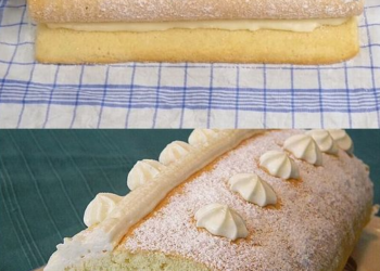 Zitronen Biskuitrolle mit 250 g Magerquark in 30 Minuten gemacht
