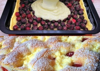 Quark Kirschkuchen aus Ungarn in 5 Minuten