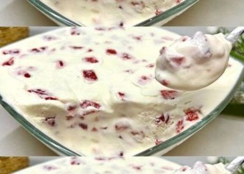 Hausgemachtes Eis mit nur 3 Zutaten ohne Eismaschine