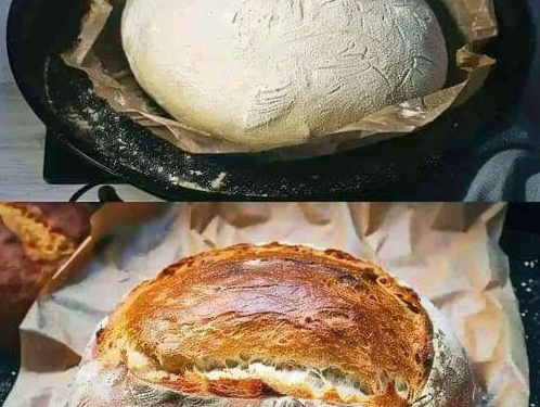 Schnelles Joghurtbrot mit 450g Dinkelmehl das beste Brot!