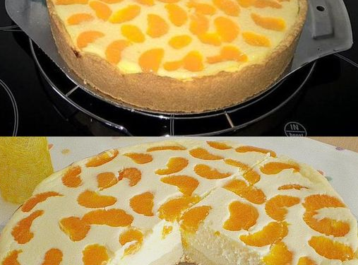 Lecker ohne Ende, Quarkkuchen mit Vanillepudding