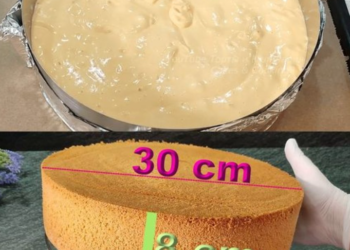 Bäckermeister Biskuitboden der einfach immer gelingt in 5 Minuten