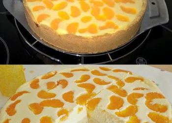 Lecker ohne Ende, Quarkkuchen mit Vanillepudding