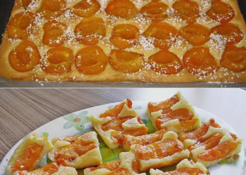 Marillenkuchen herrlich fruchtig