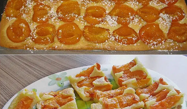 Marillenkuchen herrlich fruchtig