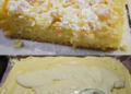 Streuselkuchen mit 2 Packung Vanillepudding und 40 Minuten Backzeit