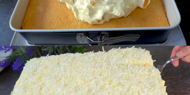 Fantakuchen mit Mandarinen und Paradiescreme