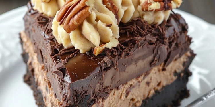 🍫 Deutscher Schokoladen-Käsekuchen 🍰 – Das ultimative dekadente Dessert! 😋