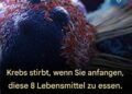 8 wirksame Anti-Krebs-Lebensmittel, die Sie in Ihre Ernährung aufnehmen sollten