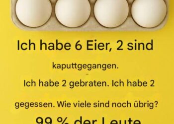Wie viele Eier sind noch übrig? Das Rätsel, das 99 % der Menschen verwirrt