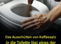 “Das Einfüllen von Kaffeesatz in die Toilette löst eines der größten Probleme in Toiletten”?!