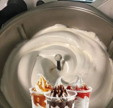 Sandy-Eis von Burger King mit Thermomix