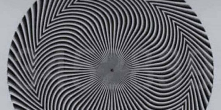 Diese optische Täuschung offenbart eine versteckte Zahl – und jeder sieht sie anders