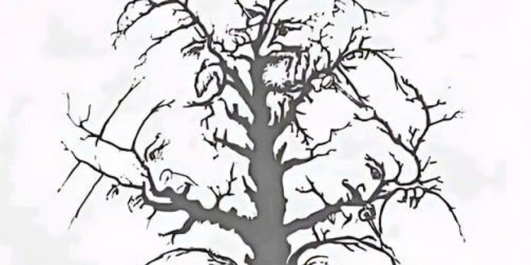 gehören Sie zu den Menschen mit dem besten Sehvermögen