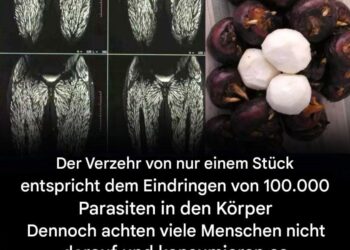 Schon ein einziger Bissen ist schädlich, dennoch essen viele ihn ohne Bedenkenn