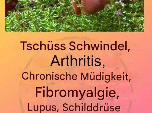 Dies ist ein echter „Tee Gottes“, da er Arthritis, Lupus, Schwindel, Schilddrüsenprobleme und chronische Müdigkeit behandelt.