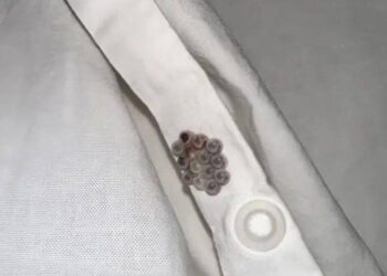 Eine schockierende Entdeckung in meinem Bett wurde zu einem Weckruf über versteckte Gefahren im Haus