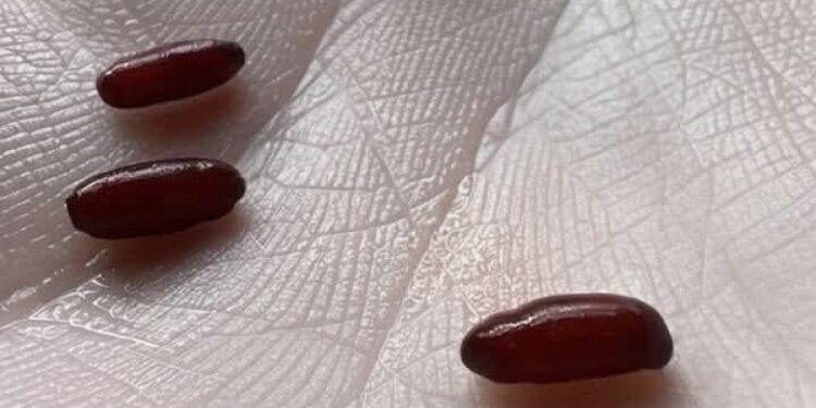 Ich habe gerade dieses Zeug auf meinem Bett gefunden, es macht mir ein bisschen Angst, was ist das?