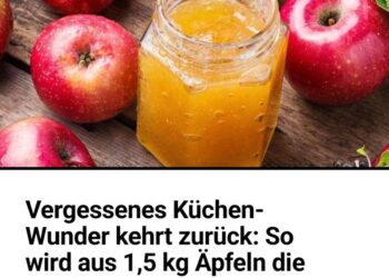 Apfelmarmelade ist schnell selbstgemacht