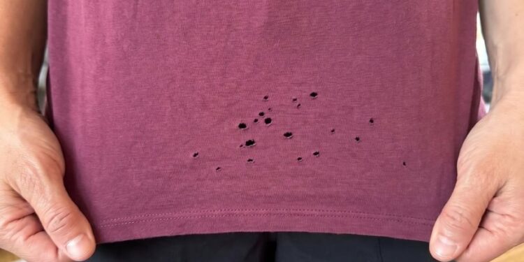 Kleine Löcher im T-Shirt: Warum sie immer an derselben Stelle entstehen